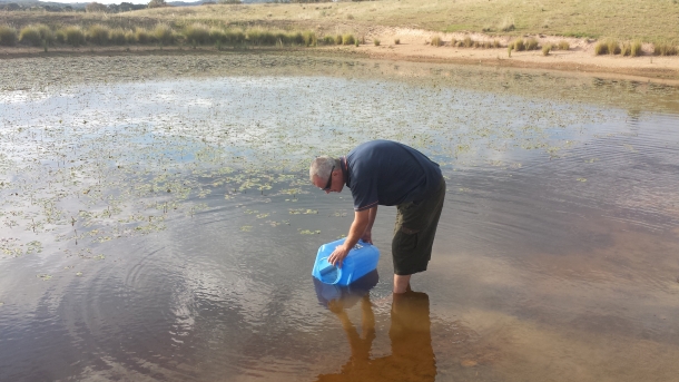 2013 DIMSC Overall winner Michael Bonnici with another nice Coffs red.
